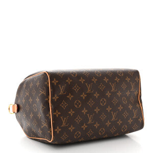 BOLSA LOUIS VUITTON SPEEDY SOFT RED MONOGRAM
